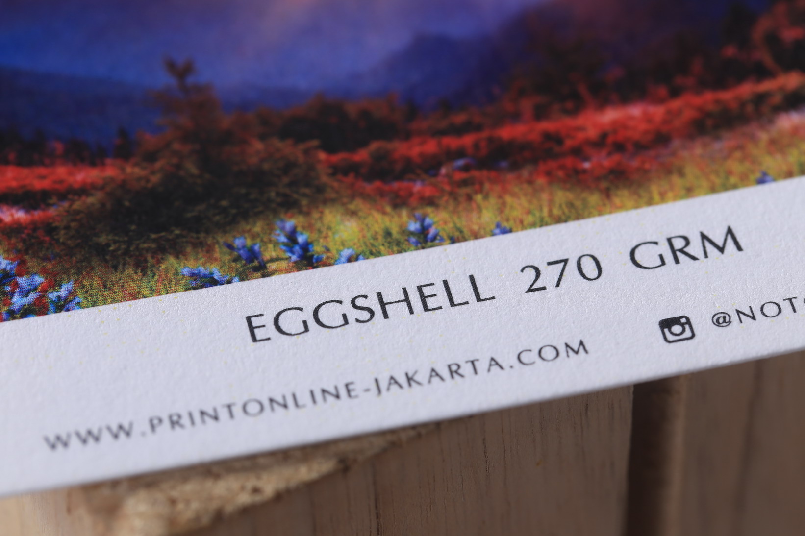 Eggshell  270 grm